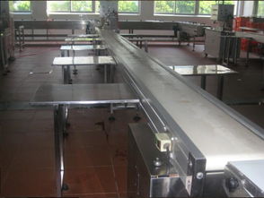 食品輸送線報價與廠家選擇指南，助力電子產品銷售企業(yè)優(yōu)化供應鏈